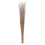 Hard Broom 1 Piece