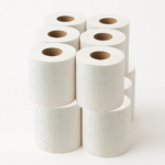 Toilet Paper Roll 2 Ply 10 in 1